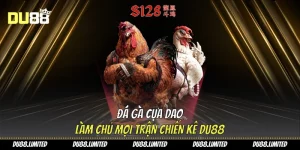 Chuyên Mục Đá Gà Du88 – Trực Tiếp Sinh Động & Tỷ Lệ Hấp Dẫn