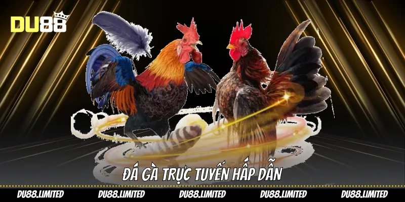 Đá Gà Cựa Dao: Làm Chủ Mọi Trận Chiến Kê Du88 Đá Gà Cựa Dao: Làm Chủ Mọi Trận Chiến Kê Du88