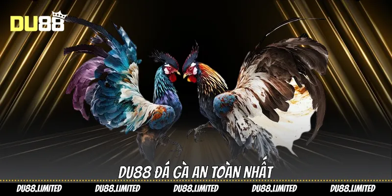 Đá Gà Cựa Dao: Làm Chủ Mọi Trận Chiến Kê Du88 Đá Gà Cựa Dao: Làm Chủ Mọi Trận Chiến Kê Du88