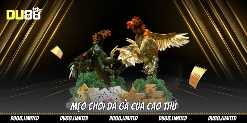 Đá Gà Cựa Dao: Làm Chủ Mọi Trận Chiến Kê Du88 Đá Gà Cựa Dao: Làm Chủ Mọi Trận Chiến Kê Du88
